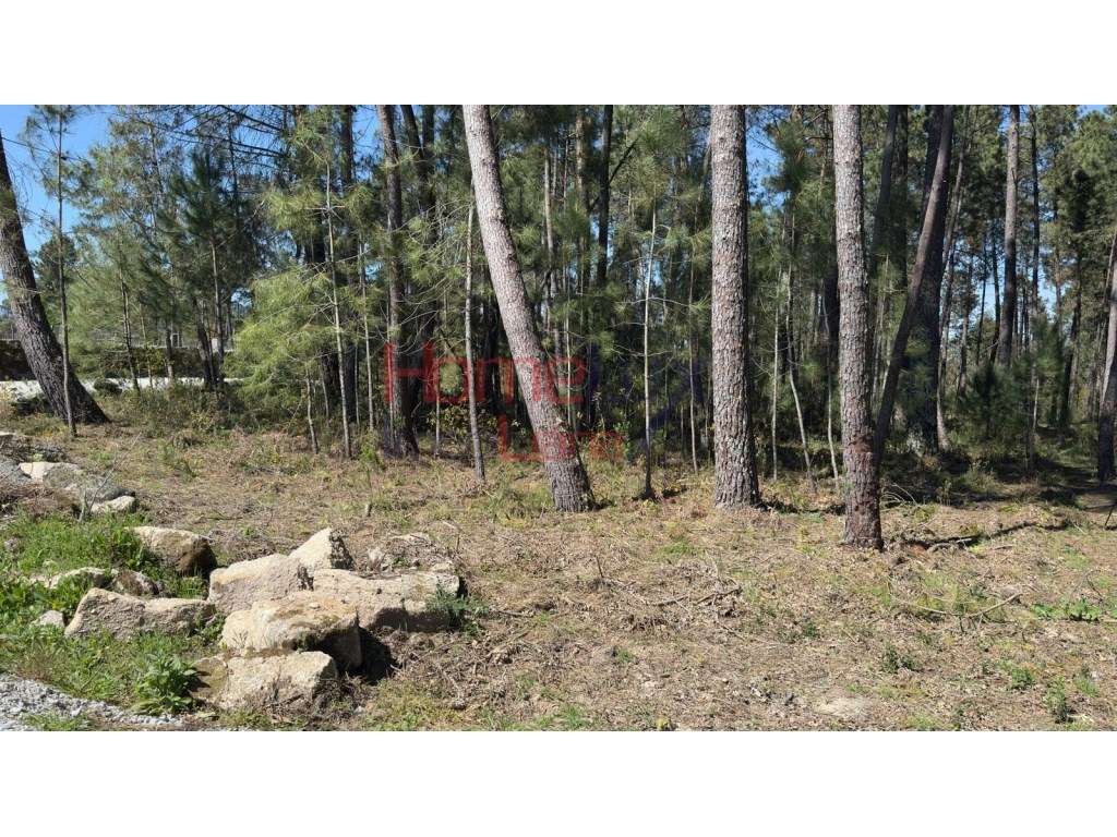 Terrenos em S. João de Lourosa, Viseu - Grande imagem: 4/36