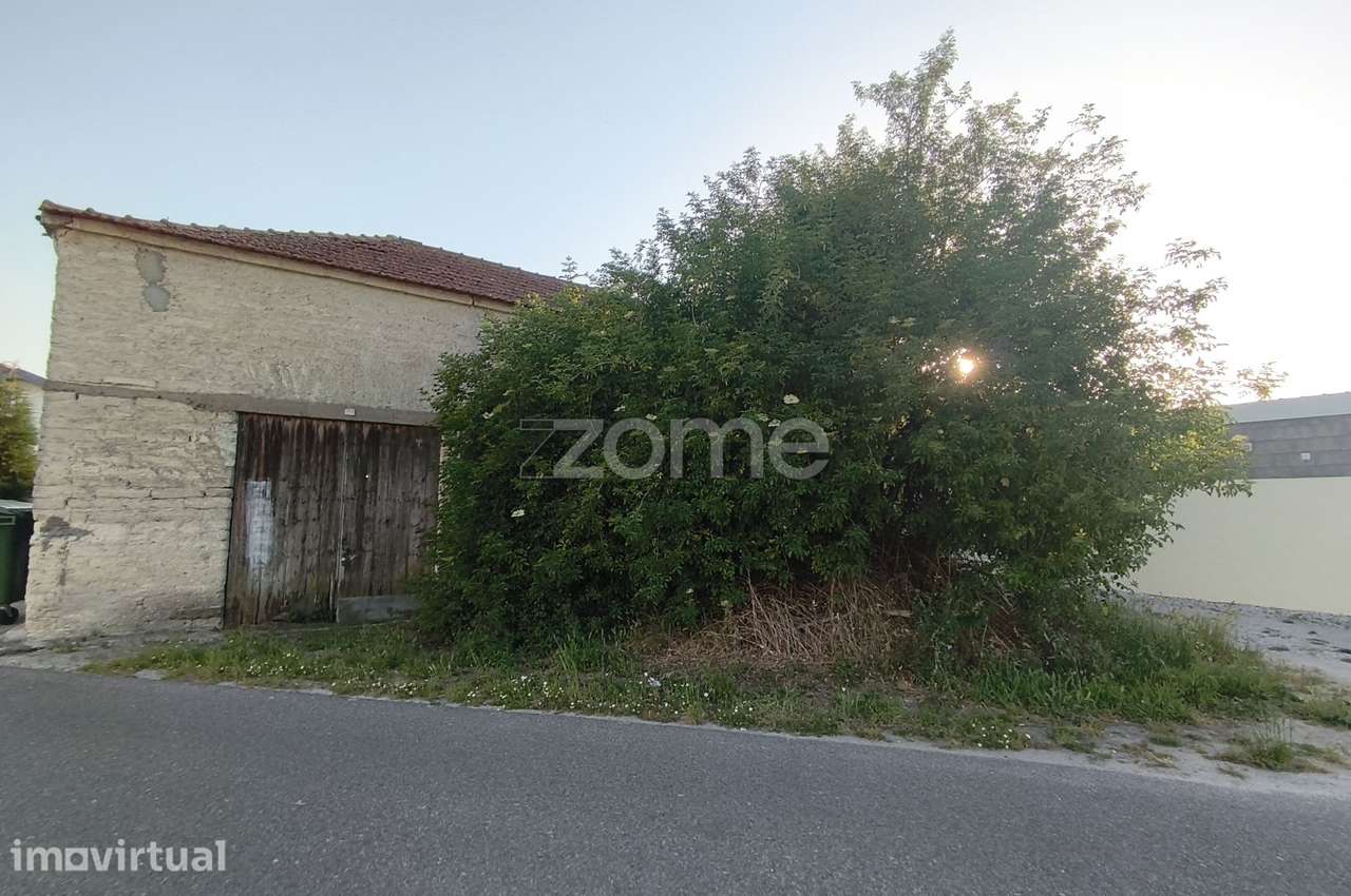Moradia para reconstrução com terreno de 2500 m2, Lombomeão, Vagos - Grande imagem: 2/15