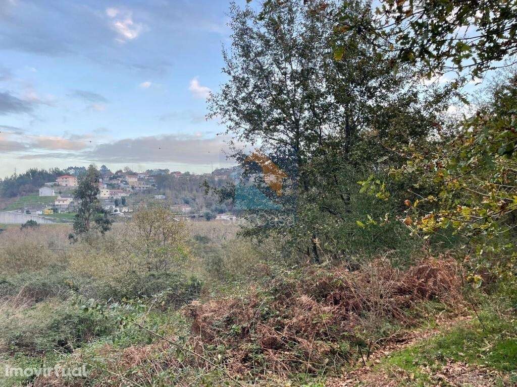 Terreno na cidade de Fafe com 42 585 m2. - Grande imagem: 2/6