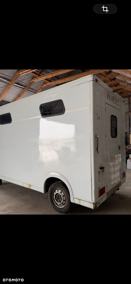 Renault Master, koniowóz - 1