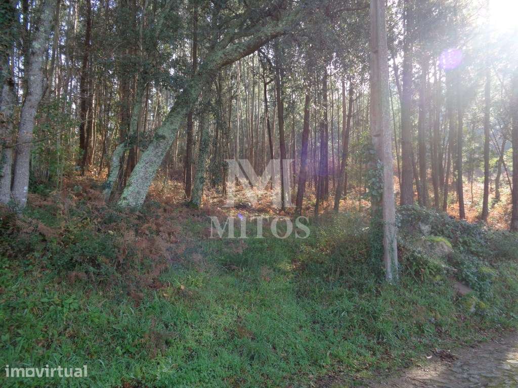 Ruína em Pedra para reconstruir, situada em Vilar de Mouros - Grande imagem: 4/7