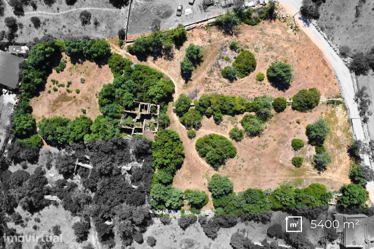Terreno com Ruína e Potencial de Construção | 5.400 m² | Moncarapacho - Grande imagem: 2/7