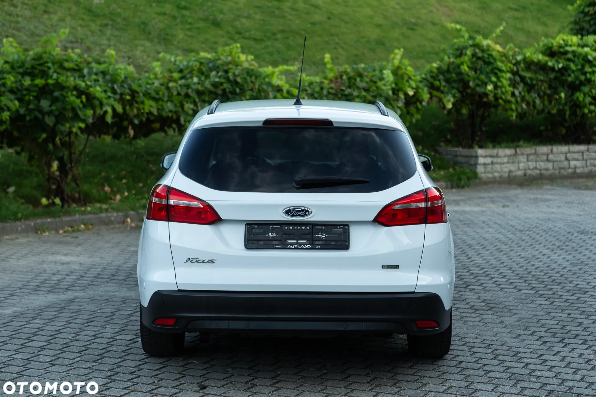 Ford Focus - 17
