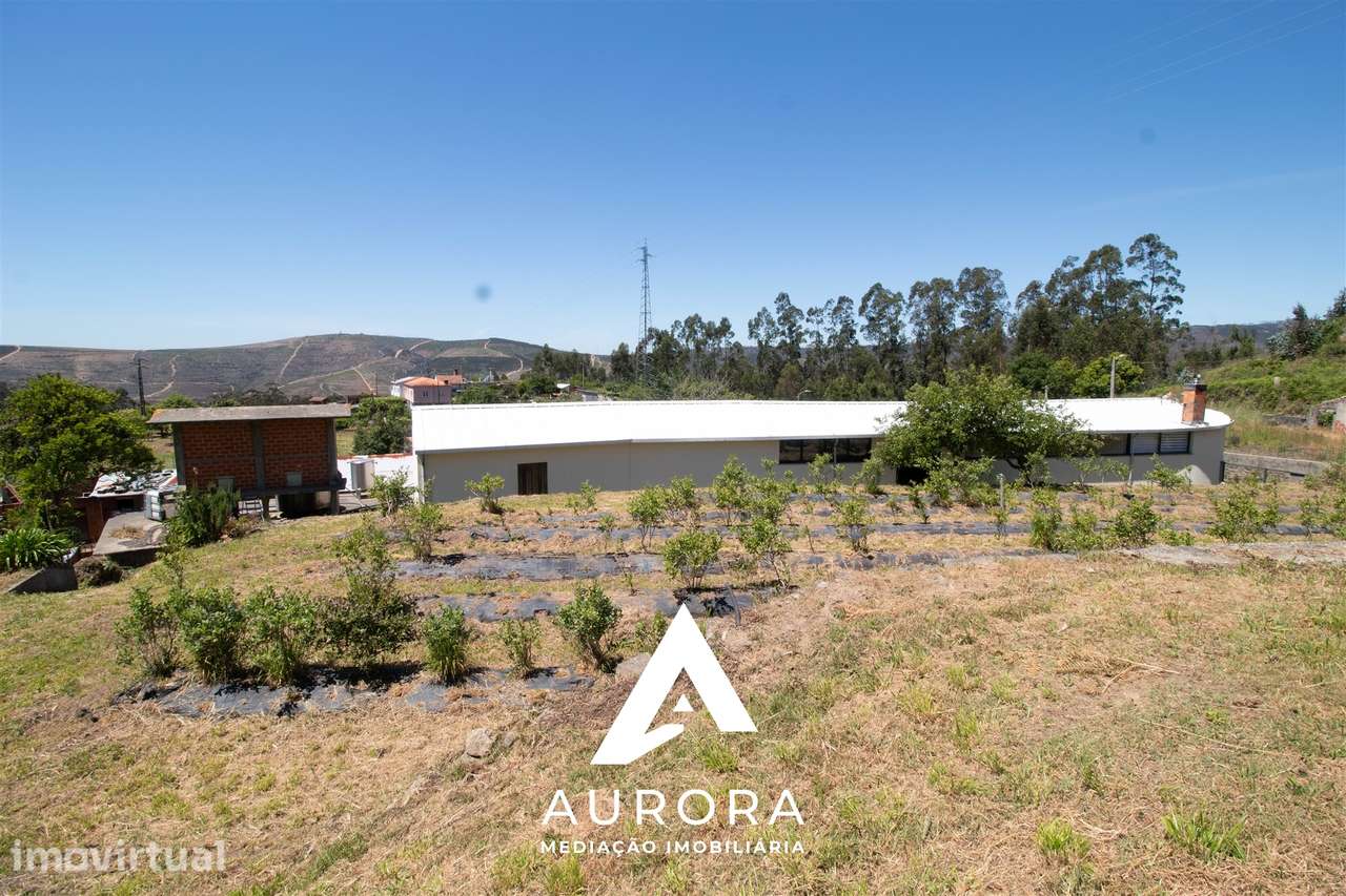 Quinta de Produção de Mirtilos com Infraestruturas Habitacionais e Agr - Grande imagem: 2/28
