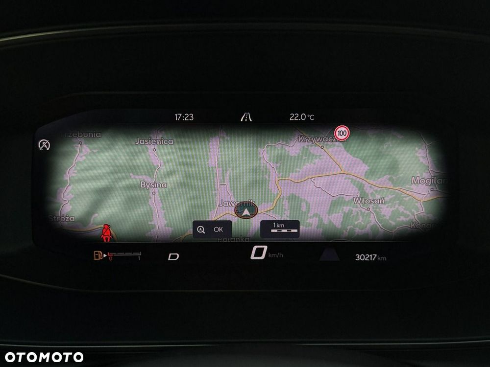Cupra Formentor - 15