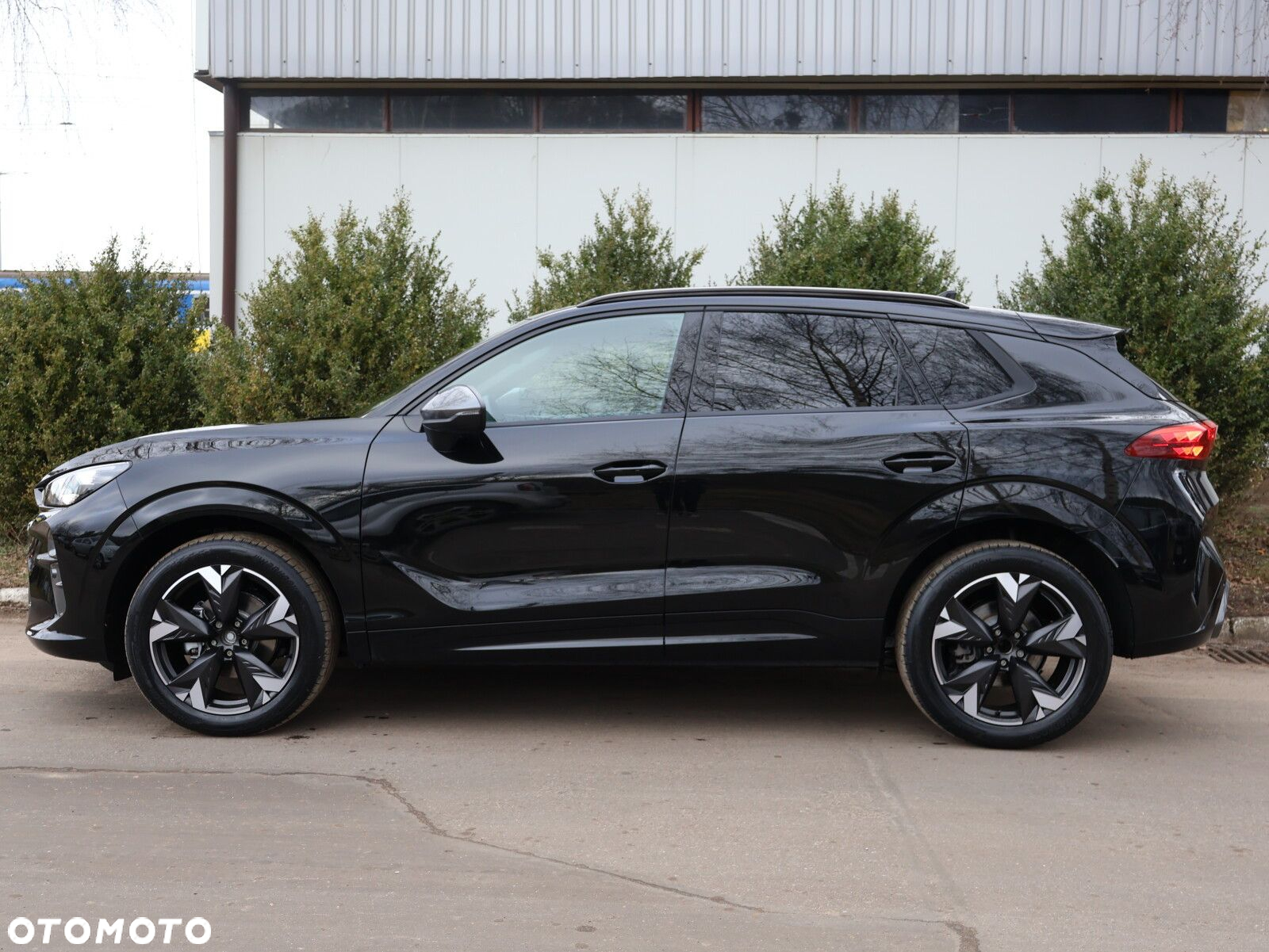 Cupra Terramar 1.5 eTSI mHEV DSG - 6