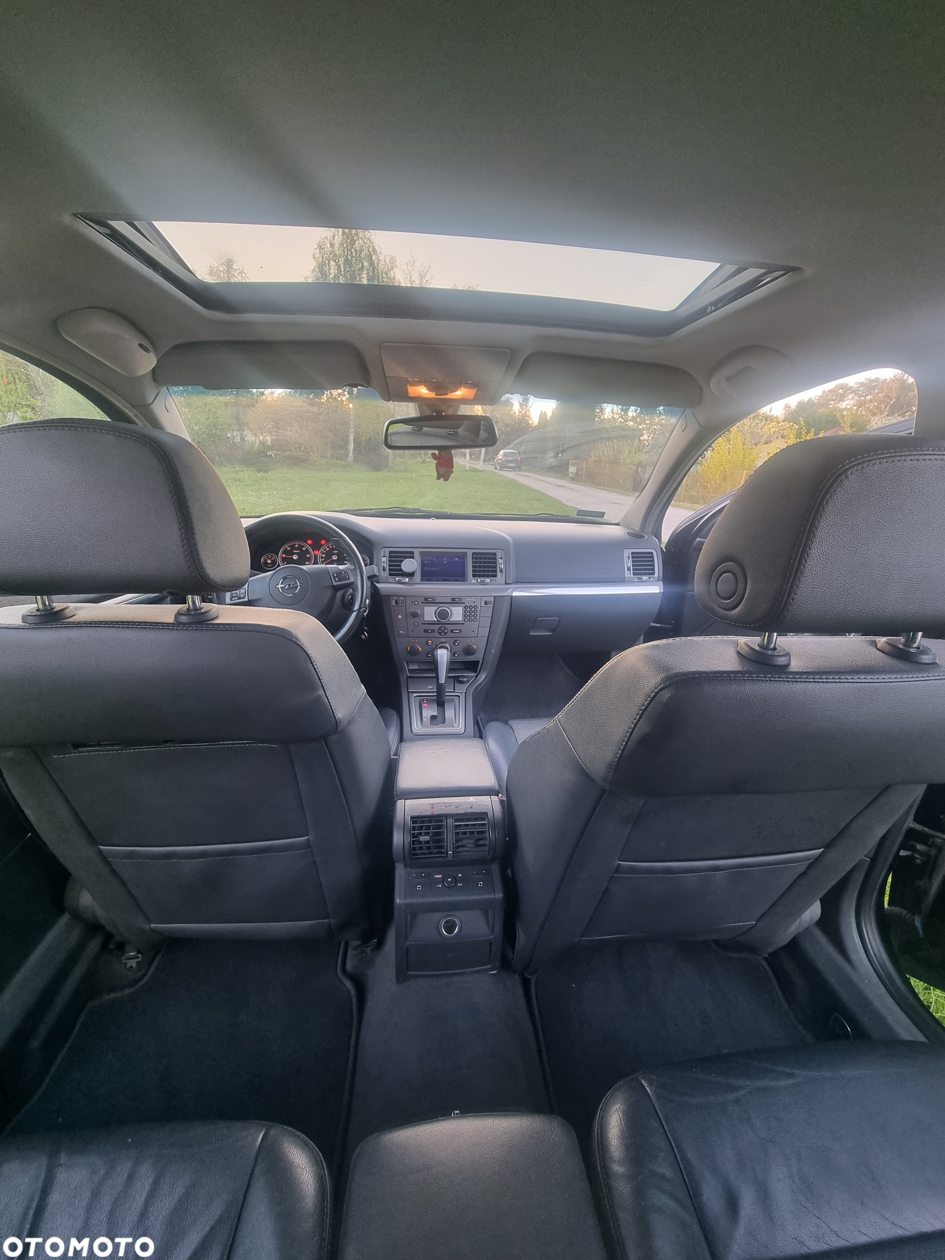Opel Signum - 12