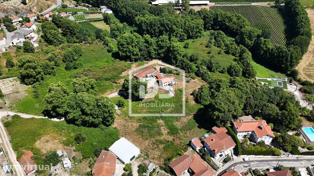 Quinta >=T10 Venda em Macieira,Lousada - Grande imagem: 4/15