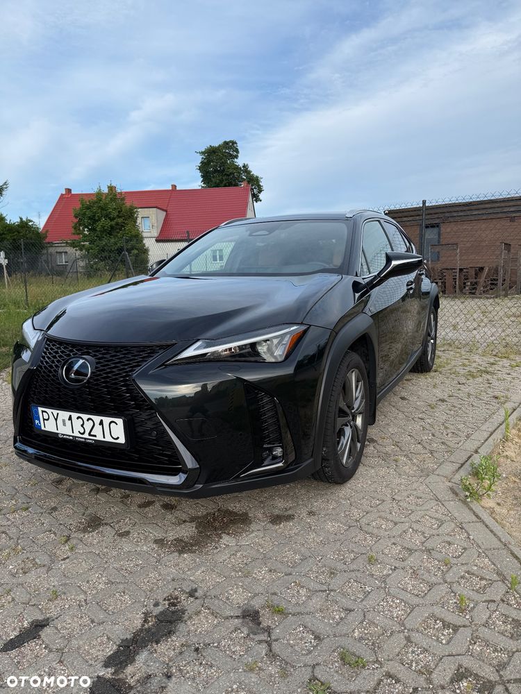 Lexus UX 300h F Sport Design - 2