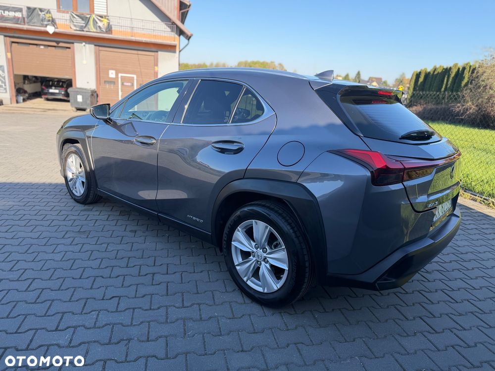 Lexus UX 250h - 7