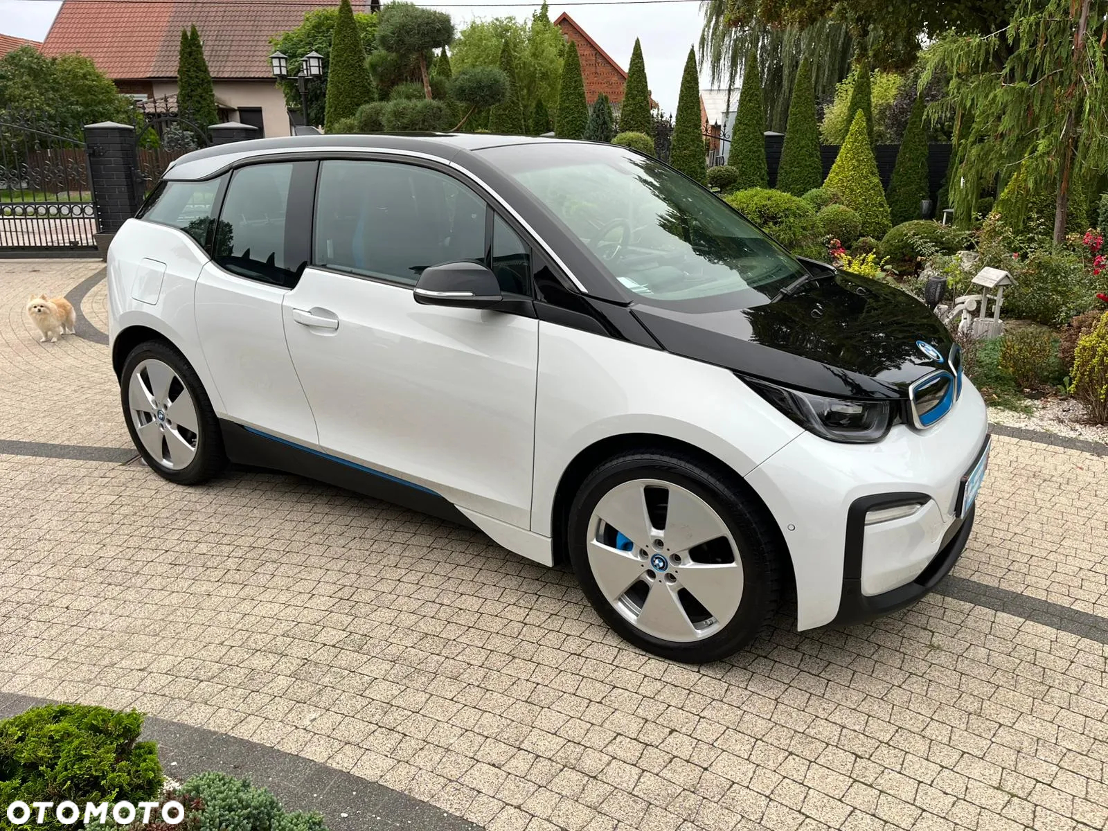 BMW i3 (120 Ah) - 2
