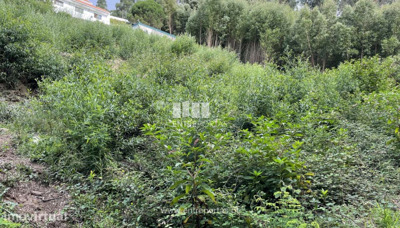 Lote de terreno para venda, Cristelo, Caminha - Grande imagem: 2/15