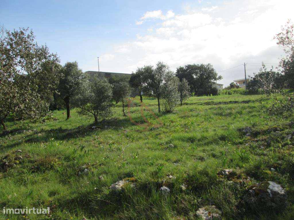 Terreno com 20.150 m² / Vale Porto - Ourém, ideal para construção e... - Grande imagem: 5/14