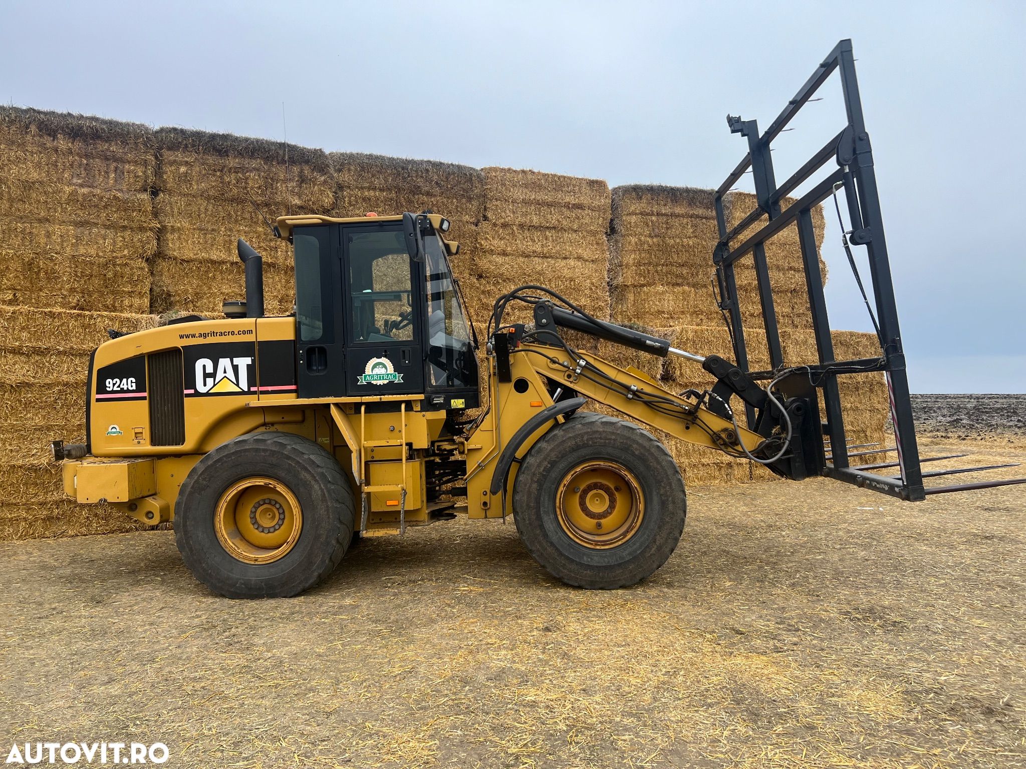 Caterpillar - 1