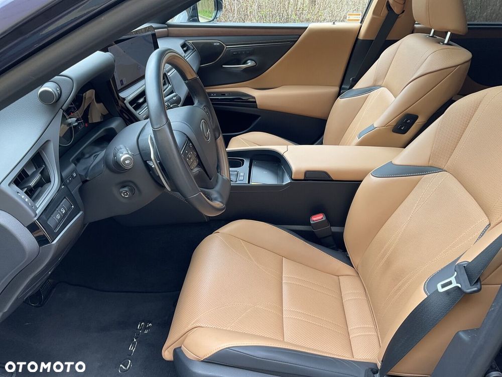 Lexus ES 300h Omotenashi - 21