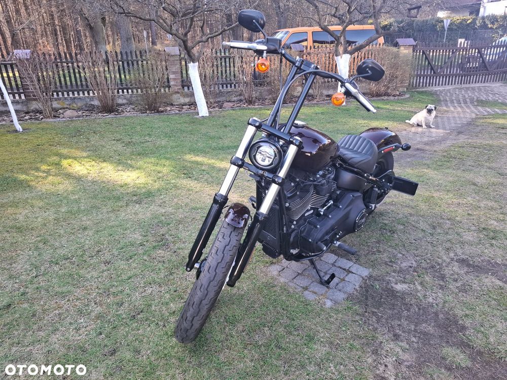 Harley-Davidson Softail Street Bob - 11