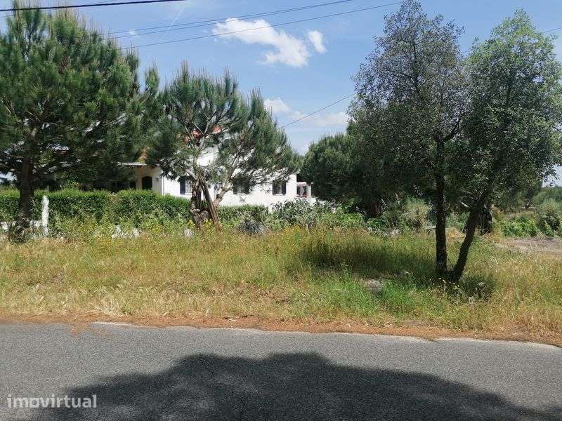 Terreno urbanizável 2.350 m² | PIP aprovado | Vale Mansos Coruche - Grande imagem: 2/11