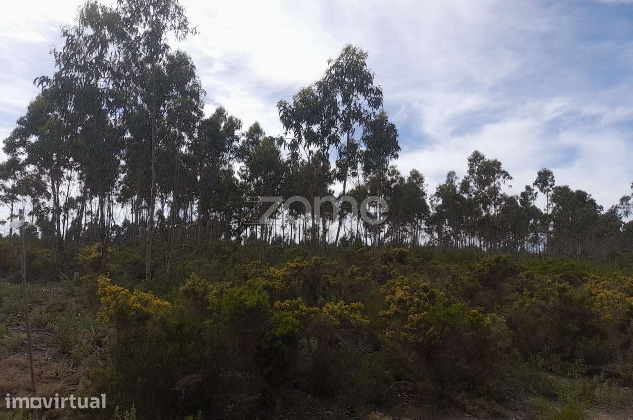 Terreno Rustico com 12580m2 - Grande imagem: 2/26
