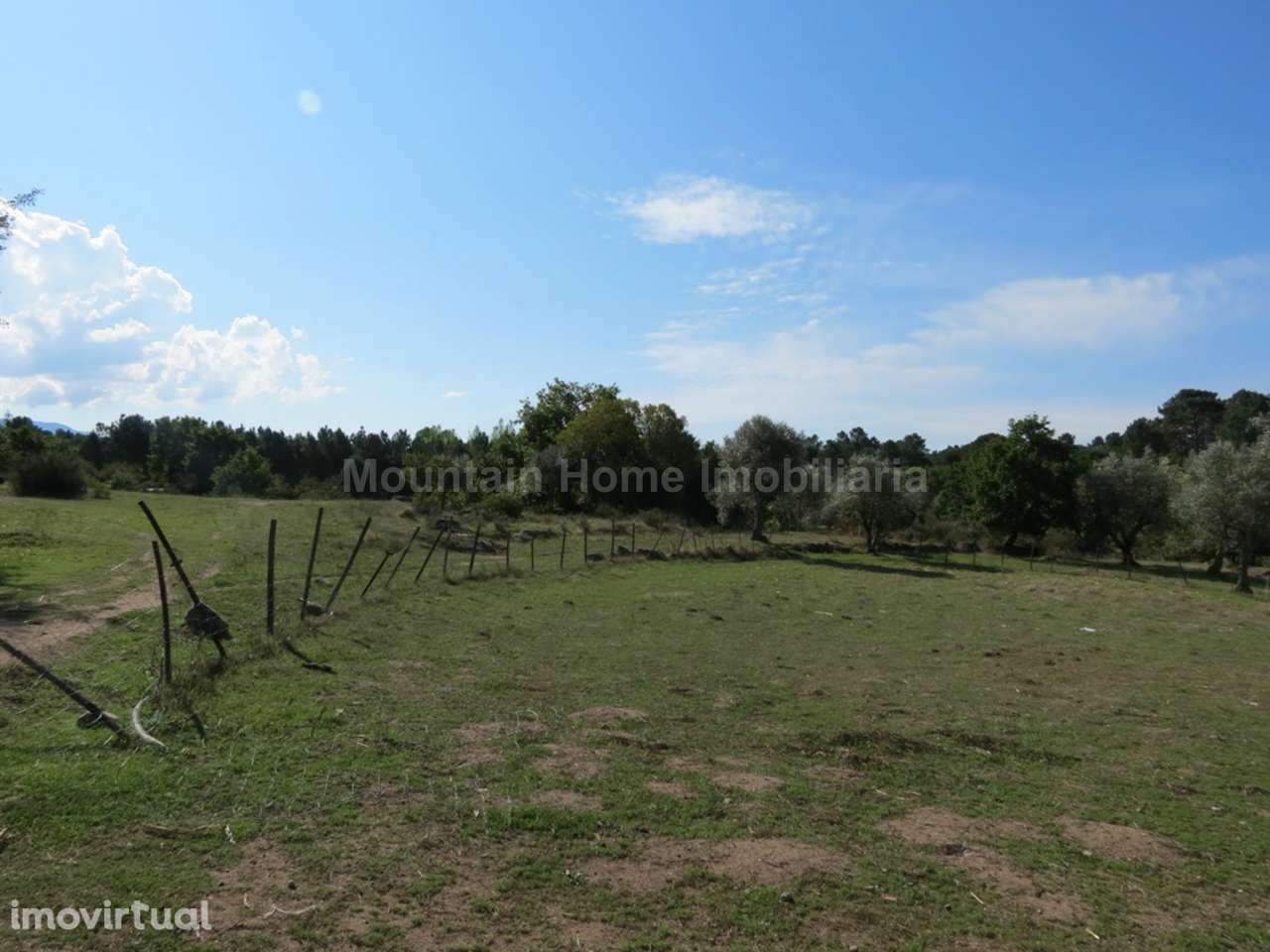 Quinta  Venda em Paranhos,Seia - Grande imagem: 3/8