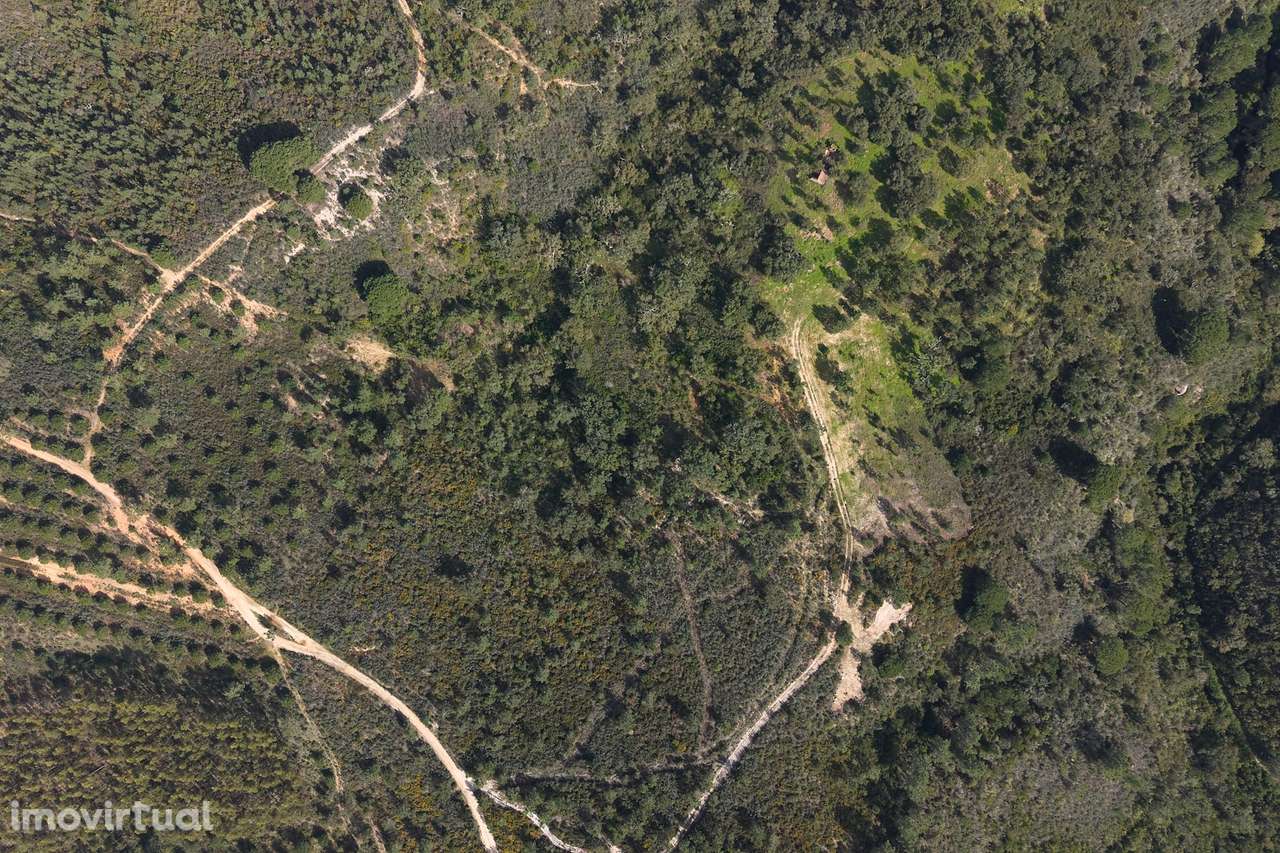 Herdade de 10 hectares em Melides - Grande imagem: 5/22