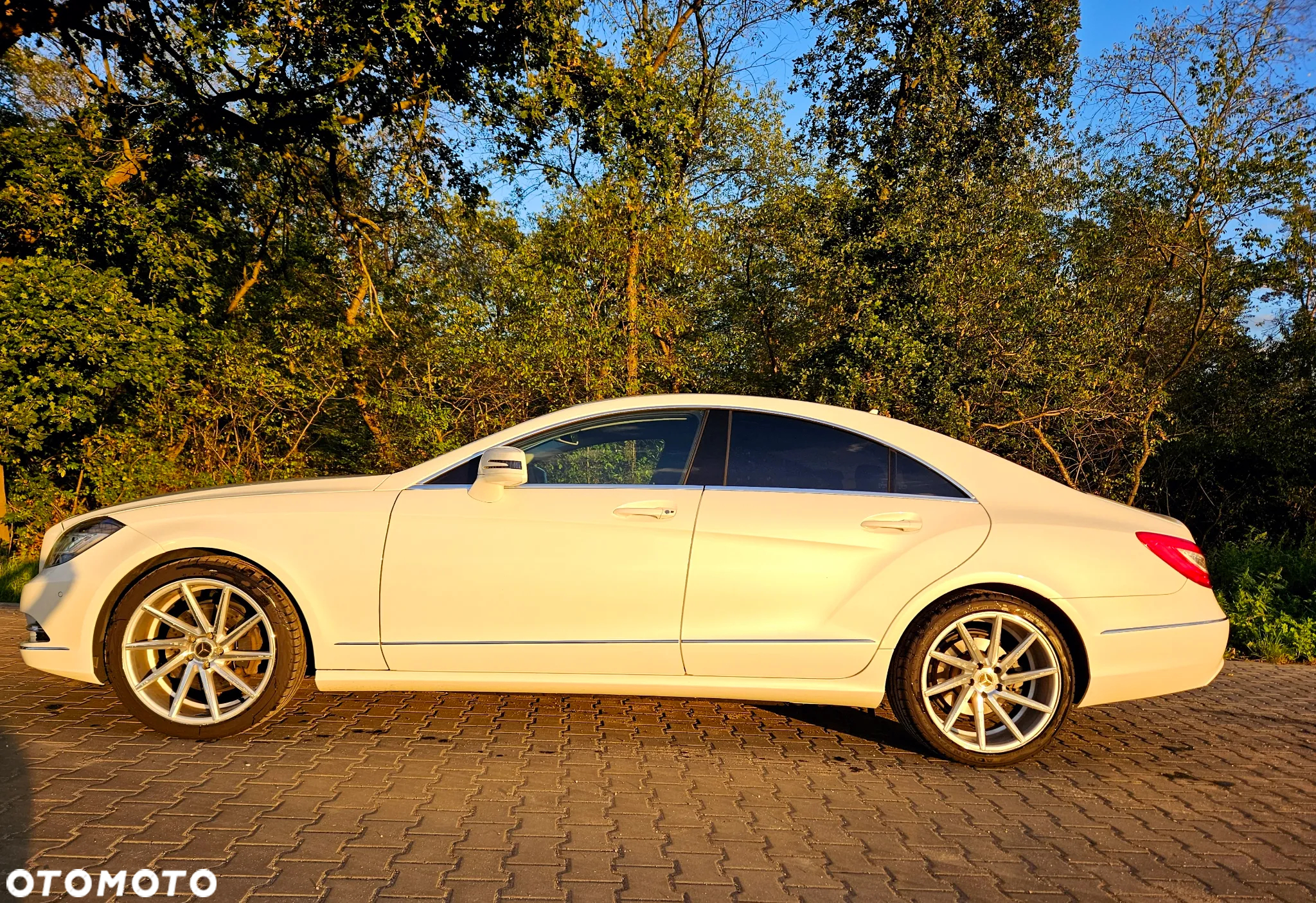Mercedes-Benz CLS 350 CDI 4-Matic BlueEff - 6