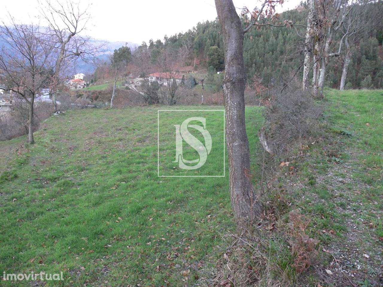 Terreno  Venda em Ventosa e Cova,Vieira do Minho - Grande imagem: 2/9