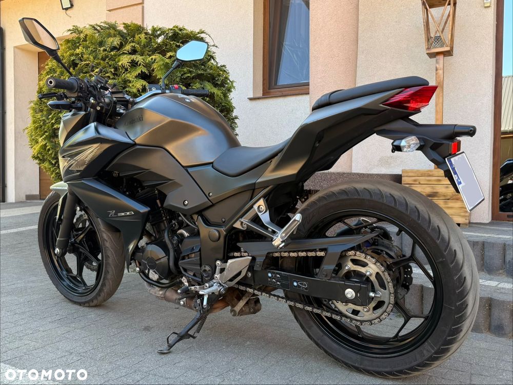 Kawasaki Z - 6
