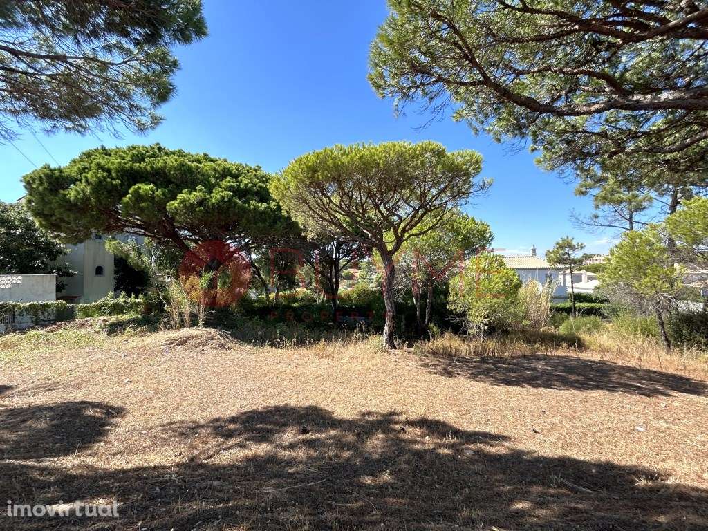 Lote para Moradia de Sonho - Vale do Lobo, Almancil - Grande imagem: 3/6