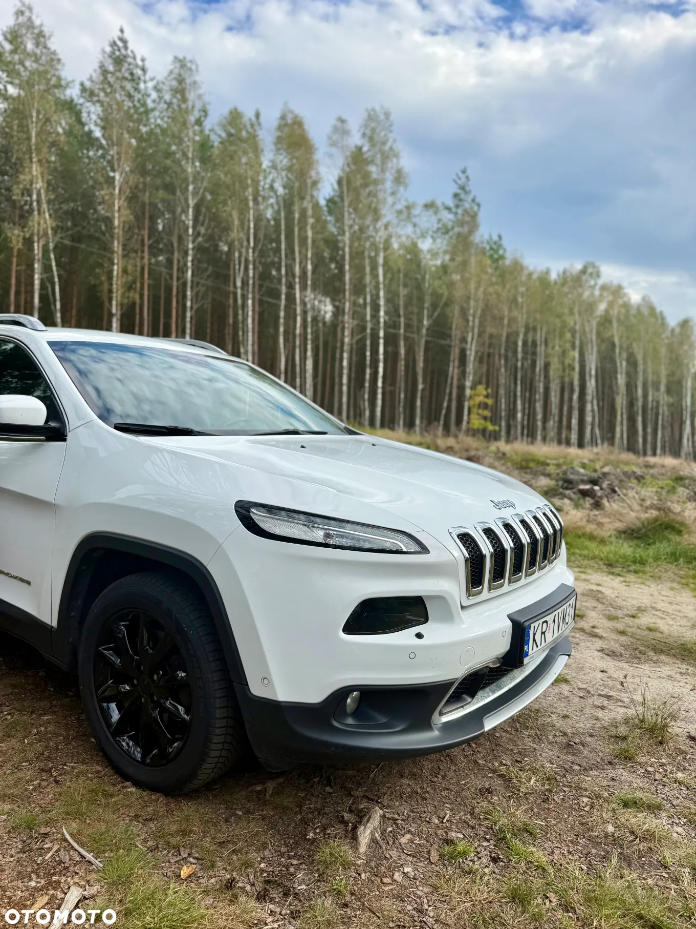 Jeep Cherokee 3.2 V6 Active Drive I Limited - 3