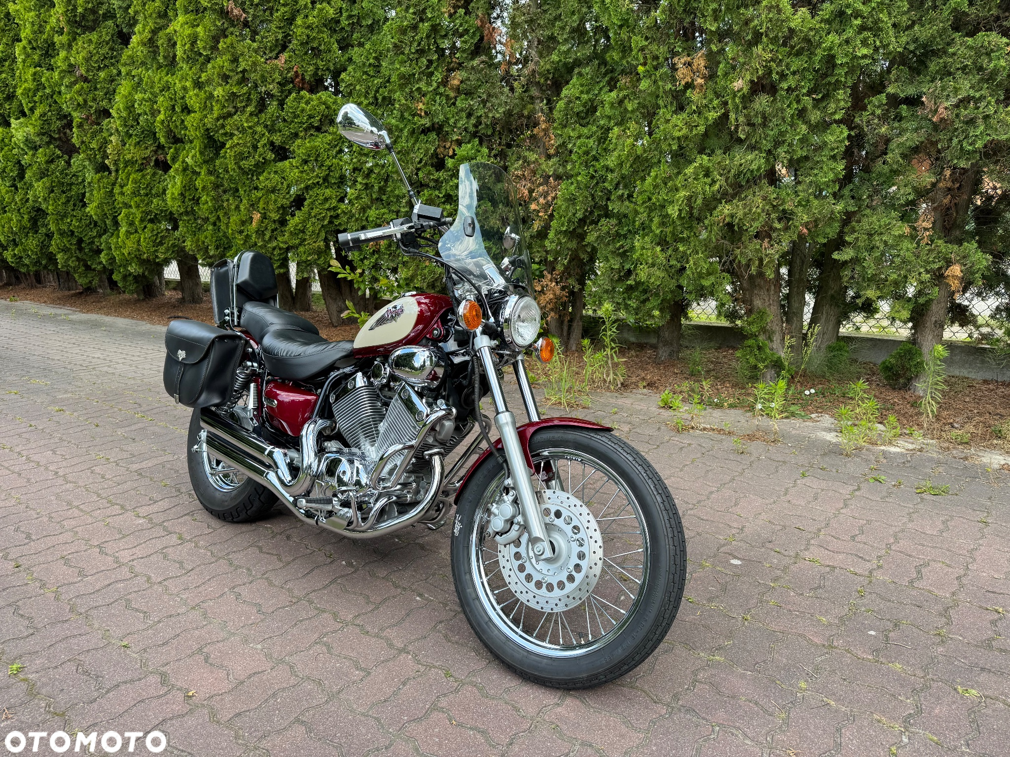 Yamaha Virago - 3