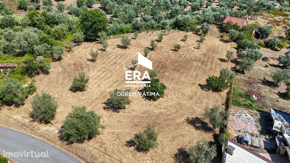 Terreno para construção  com 2.800m2, Olival - Grande imagem: 3/20