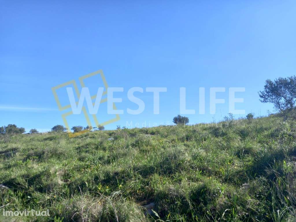 Terreno Rústico de 3562m2 em Santo Estevão das Galés - Grande imagem: 3/11