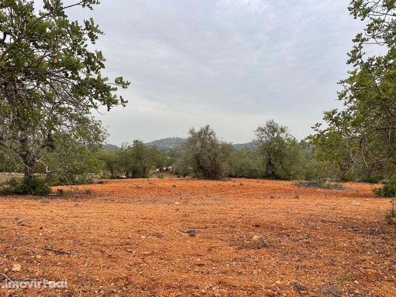 Terreno com vedação para arrendar em Paderne - Grande imagem: 2/3