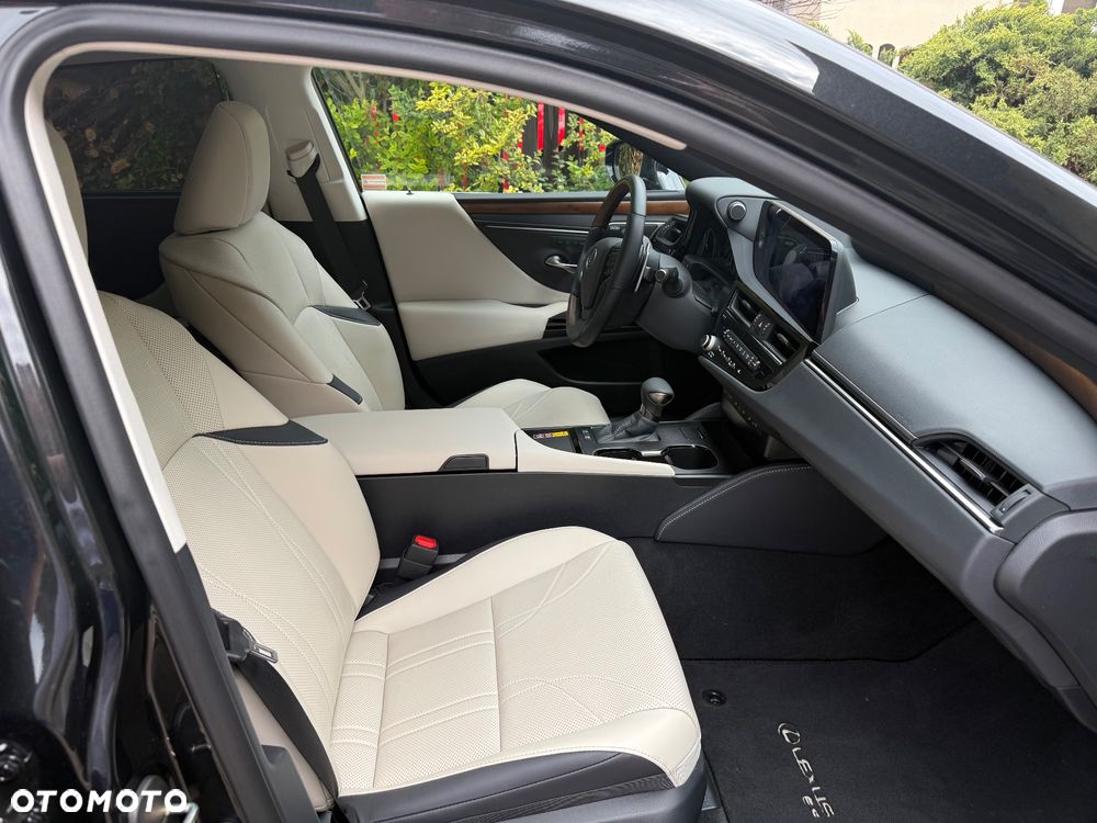 Lexus ES 300h Omotenashi - 8