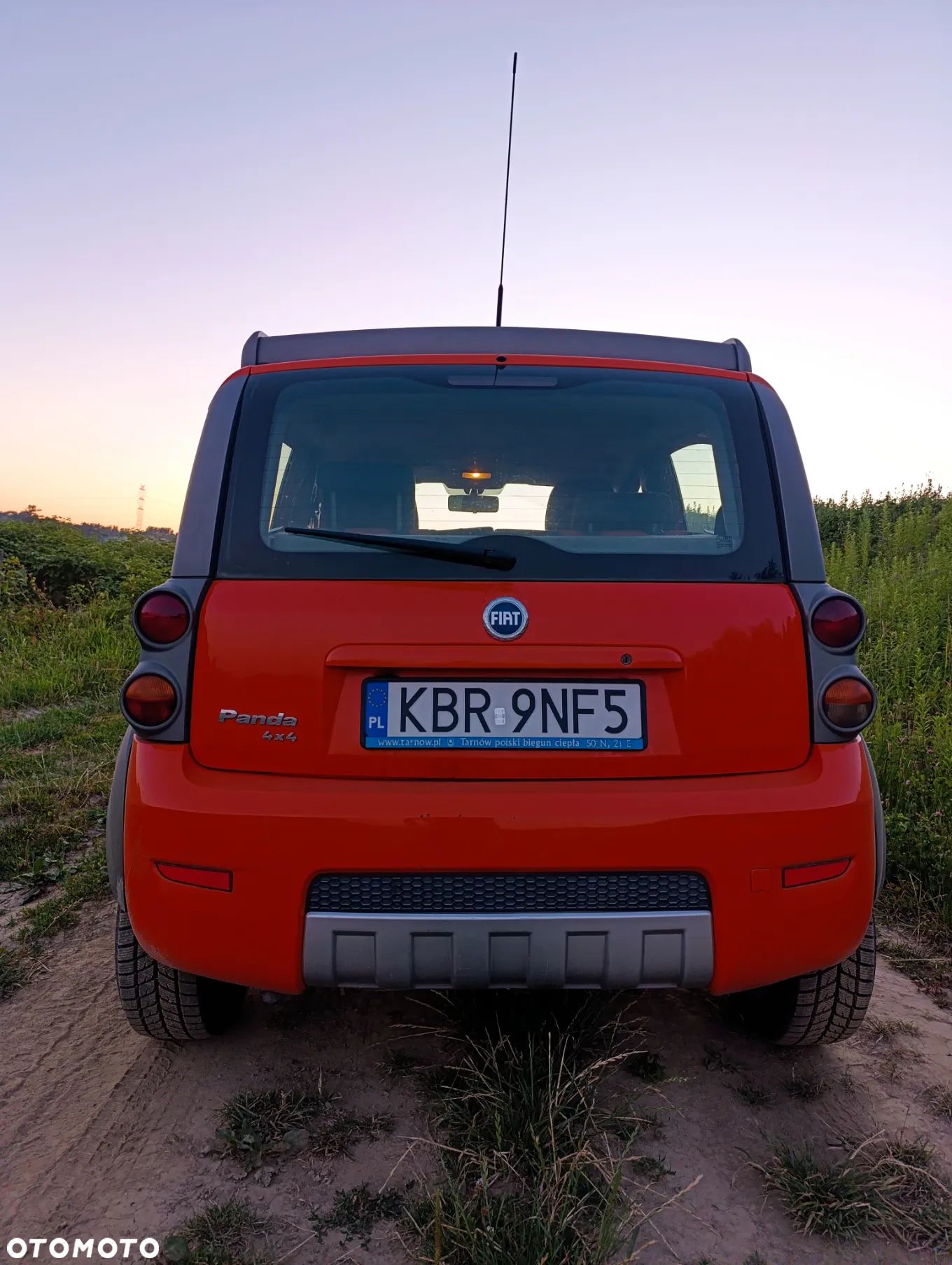Fiat Panda 1.3 4x4 Multijet Diesel Cross - 1
