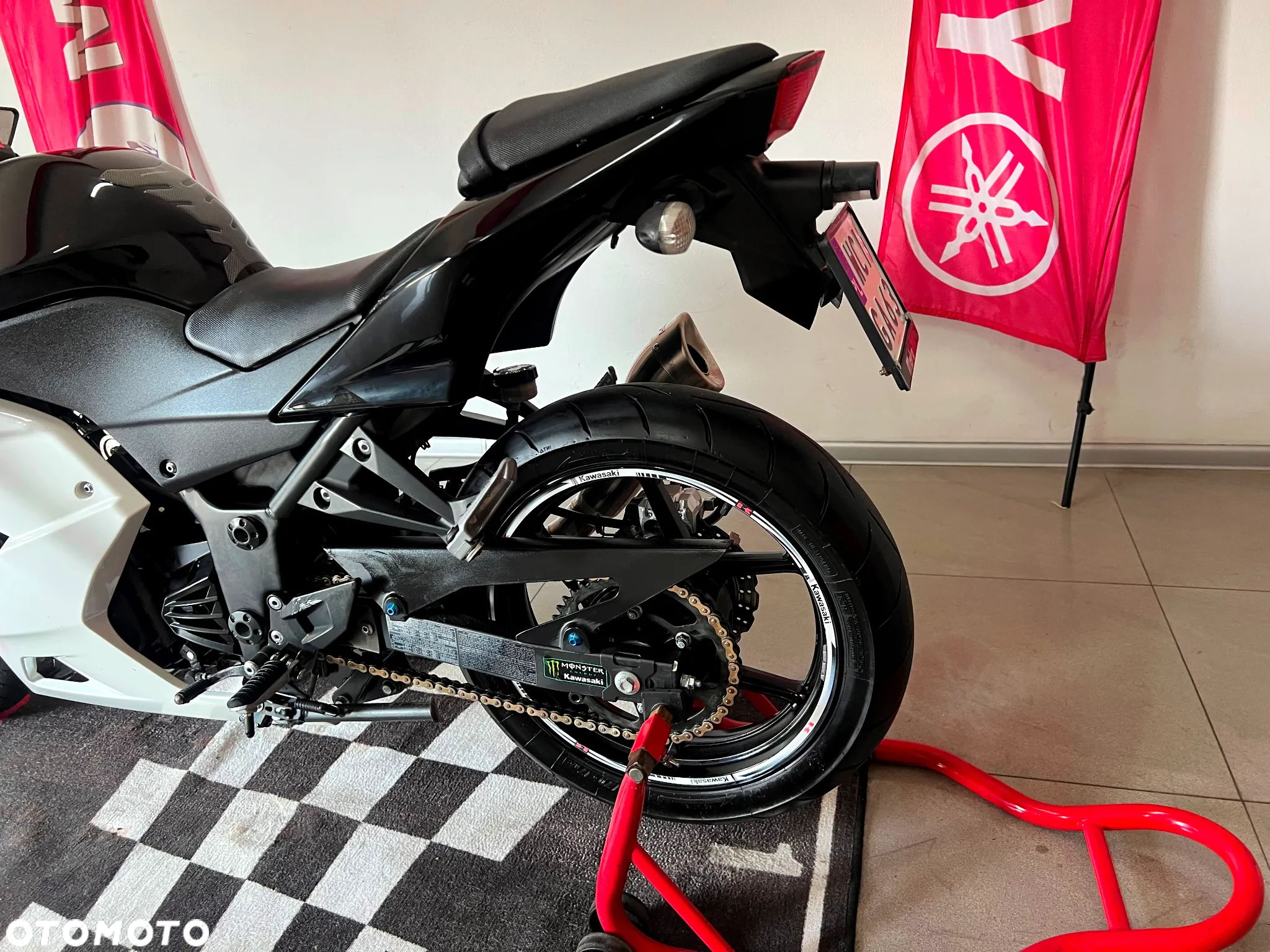 Kawasaki Ninja 250R - 11