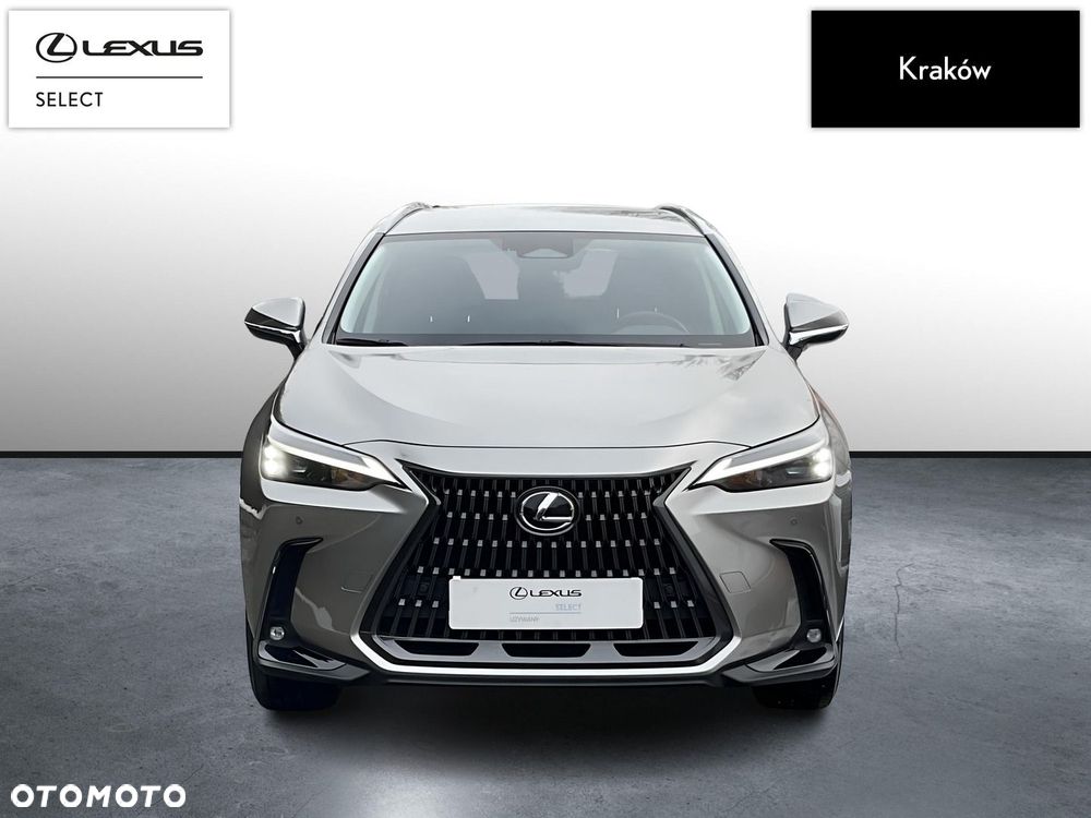 Lexus NX - 8