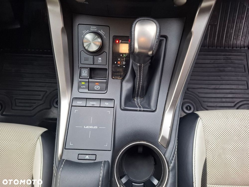 Lexus NX 300 GPF F Sport AWD - 33