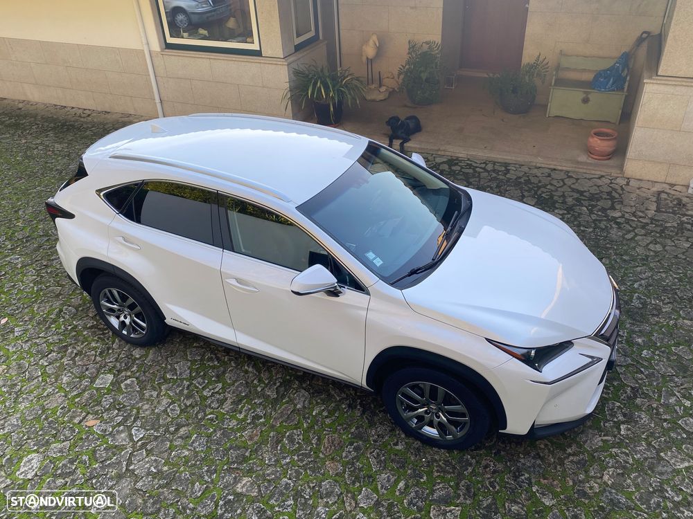 Lexus NX 300h Luxury 4WD - 1