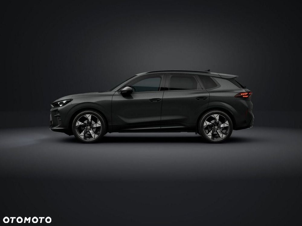 Cupra Terramar - 3