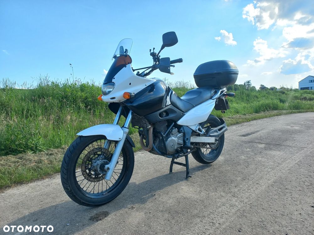 Suzuki XF - 18