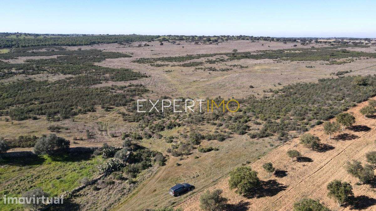 Terreno com 4,9 hectares-Atravessado por Ribeira-Santa... - Grande imagem: 4/14