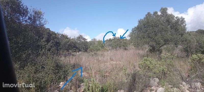 2 terreno muito bem situado  em forma de terraceamento. Benafim-PENINA - Grande imagem: 3/4