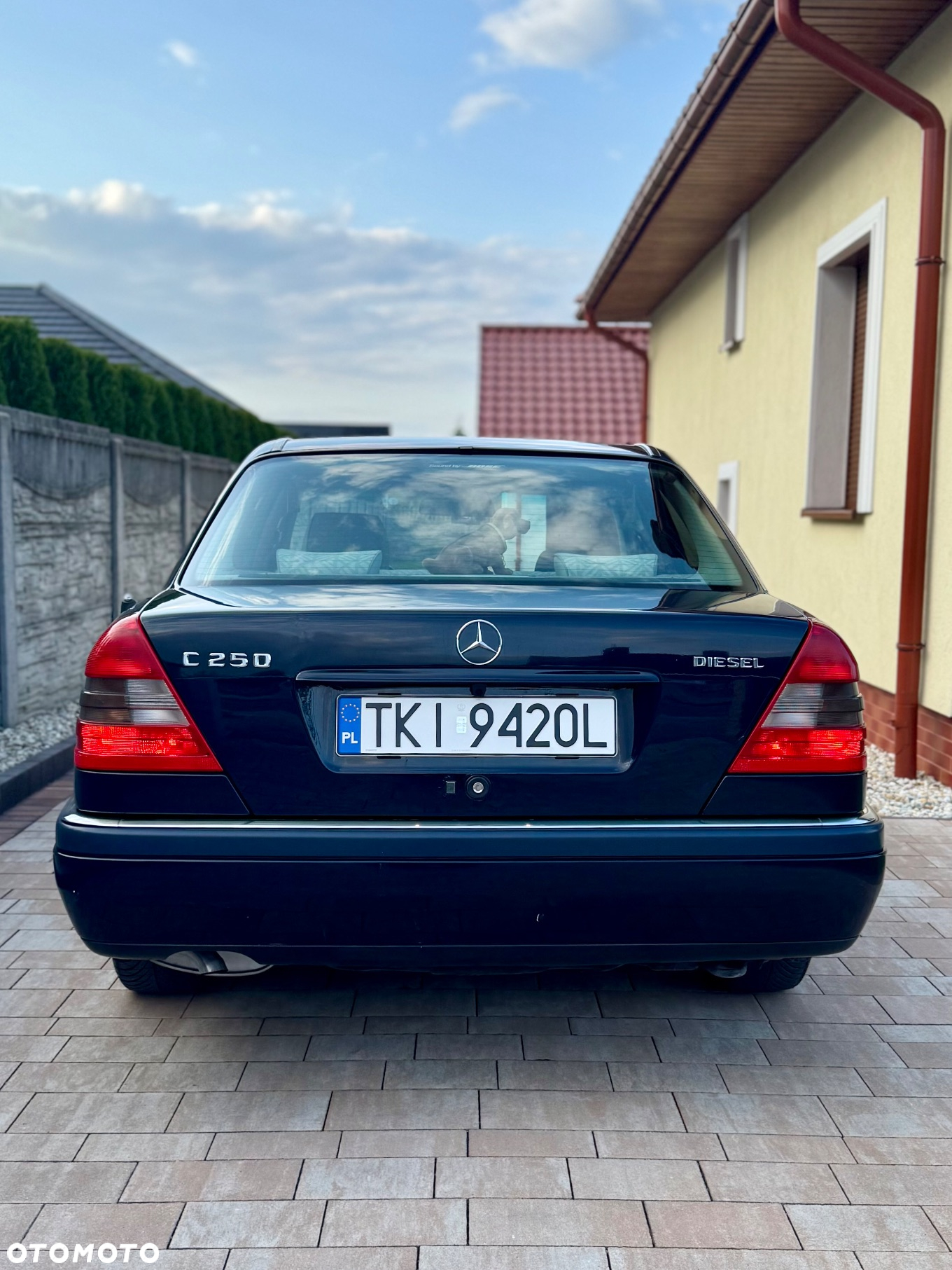 Mercedes-Benz Klasa C 250 D Elegance - 2