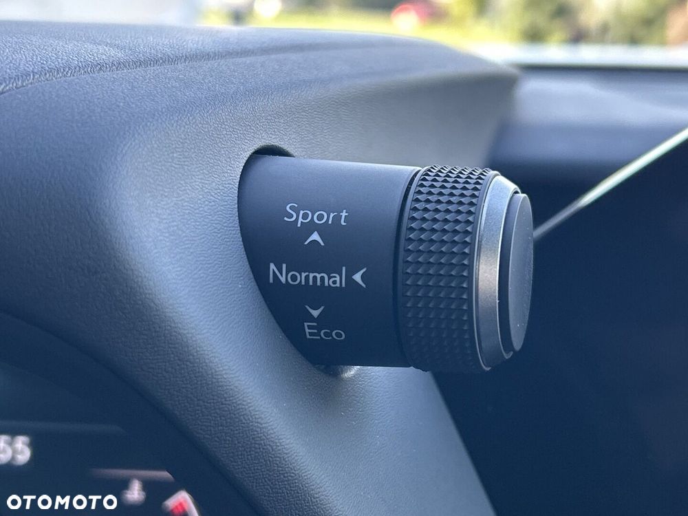 Lexus UX 250h GPF F Sport Design 2WD - 16