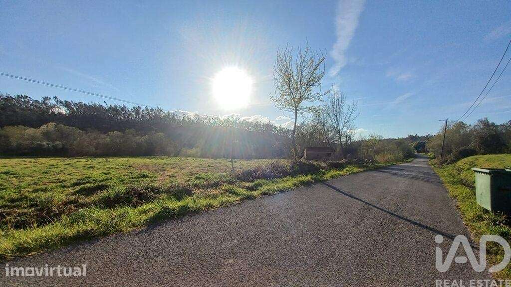 Casa de Campo em Santiago e São Simão de Litém e Albergaria dos Doze d - Grande imagem: 5/26