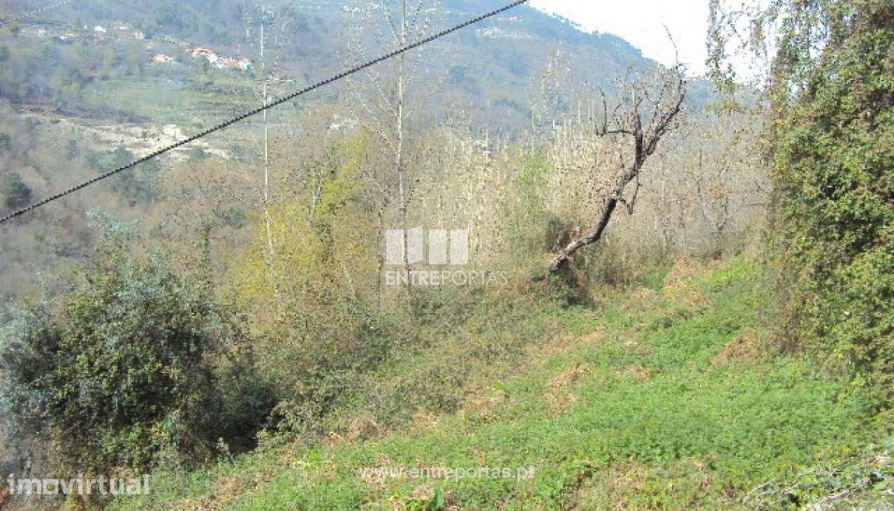 Venda Terreno, Ferreiros de Tendais, Cinfães - Grande imagem: 2/8