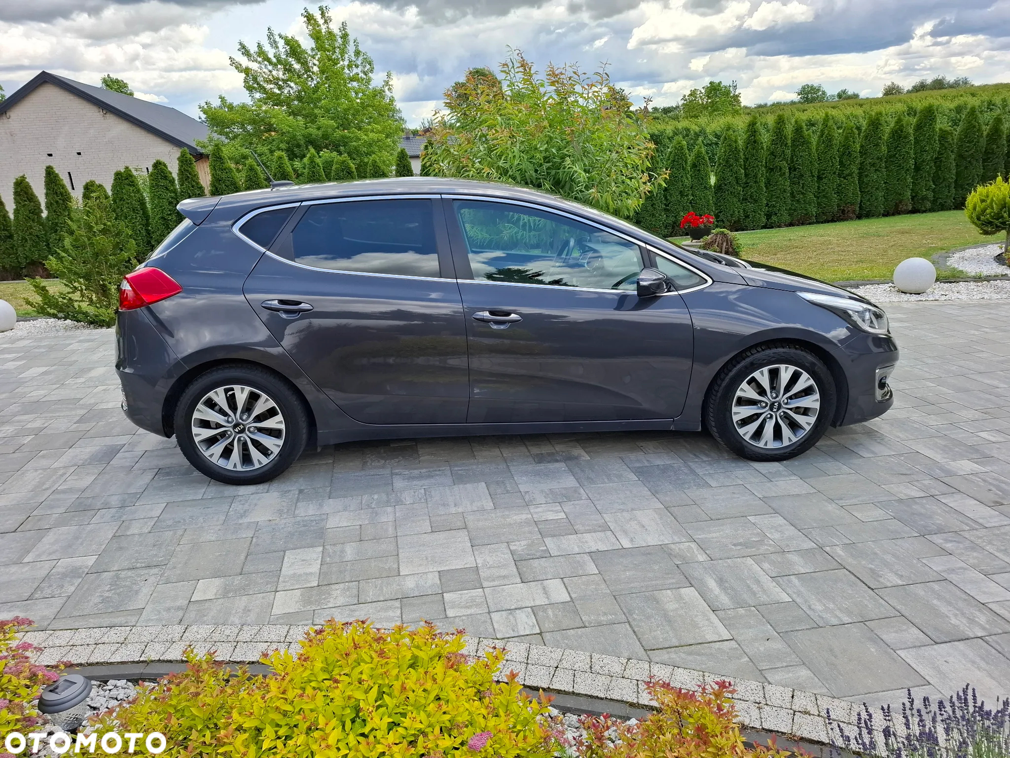 Kia Ceed 1.0 T-GDI 120 OPF Edition 7 - 15