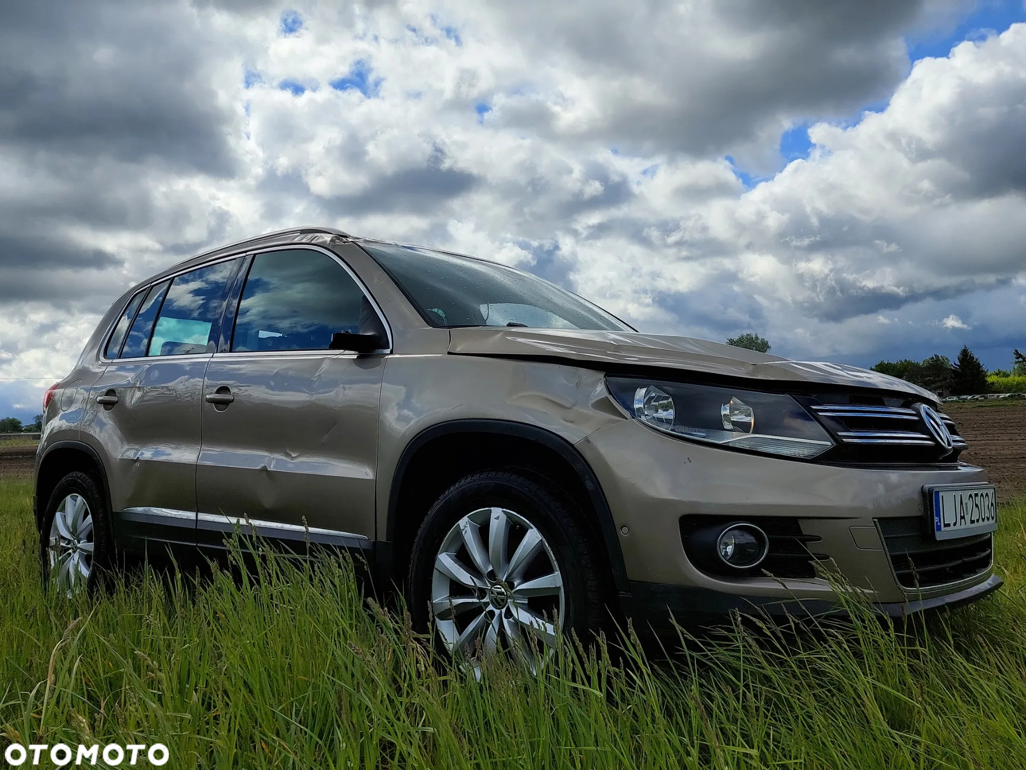 Volkswagen Tiguan 2.0 TDI 4Mot Sport DSG - 2
