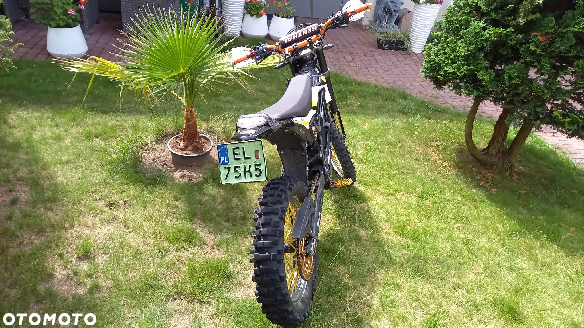 Surron Ultra-Bee